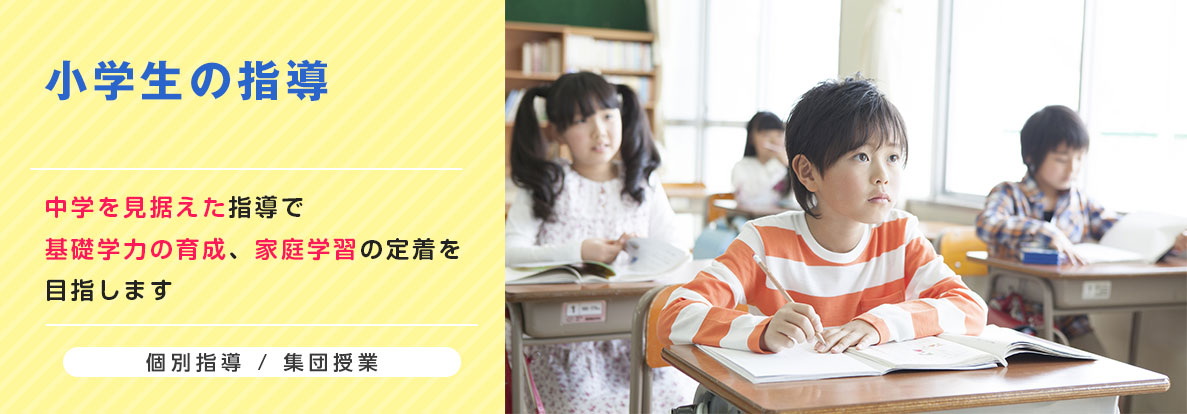 小学生の指導